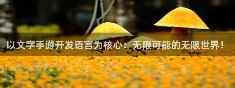 糖果派对注册送62元现金：以文字手游开发语言为核心：无限可能