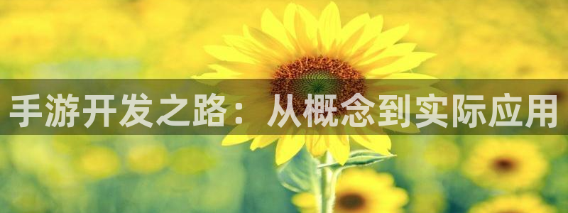 糖果派对链接：手游开发之路：从概念到实际应用