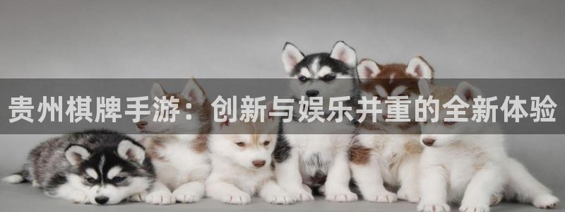 糖果派对无聊的兔子：贵州棋牌手游：创新与娱乐并重的全新体验