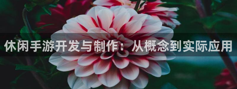 糖果派对介绍：休闲手游开发与制作：从概念到实际应用