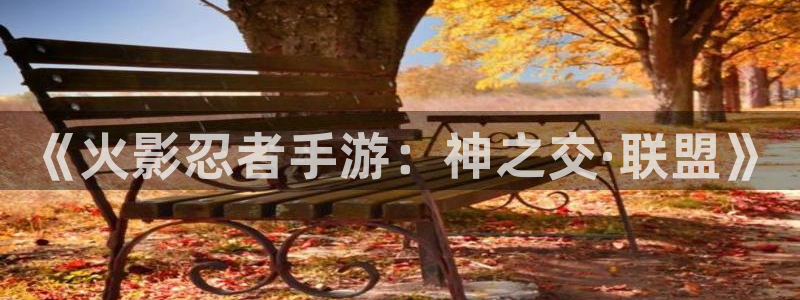 糖果派对游戏平台官网：《火影忍者手游：神之交·联盟》