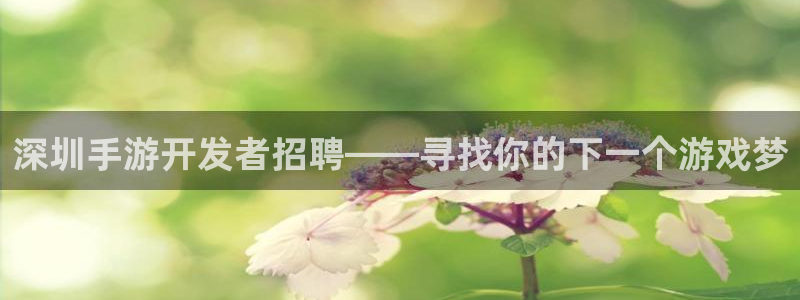 网络游戏糖果派对：深圳手游开发者招聘——寻找你的下一个游戏梦
