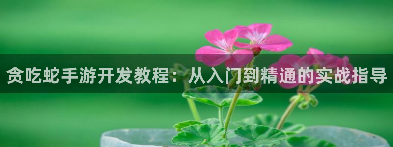 糖果派对官方下载：贪吃蛇手游开发教程：从入门到精通的实战指导