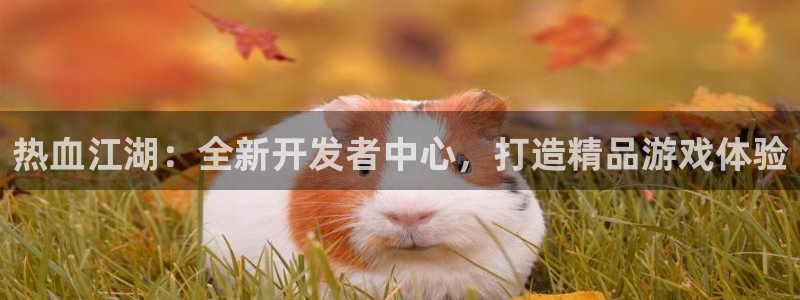 糖果派对游戏：热血江湖：全新开发者中心，打造精品游戏体验