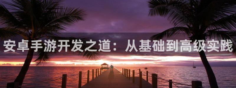 糖果派对澳门：安卓手游开发之道：从基础到高级实践