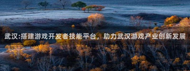 糖果派对是：武汉:搭建游戏开发者技能平台，助力武汉游戏产业创