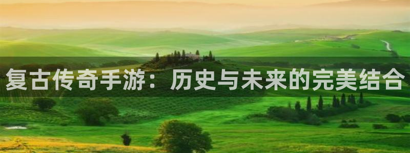糖果派对官网下载：复古传奇手游：历史与未来的完美结合