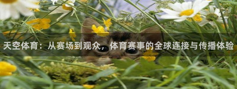 cba柠檬直播