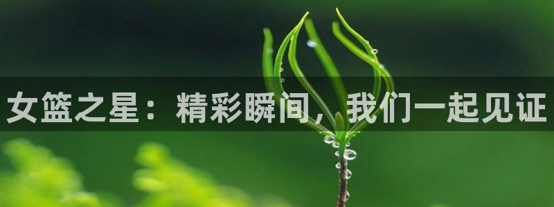 柠檬体育足球视频直播