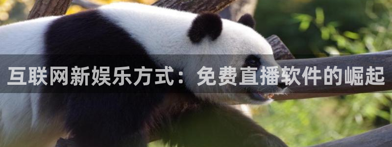 柠檬nba直播在线观看免费