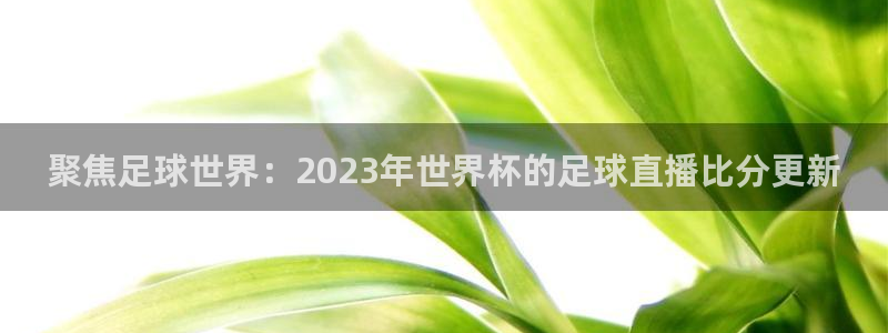 柠檬足球直播体育