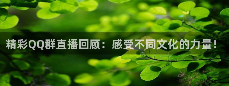 cba柠檬直播：精彩QQ群直播回顾：感受不同文化的力量！