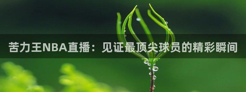 柠檬直播体育篮球：苦力王NBA直播：见证最顶尖球员的精彩瞬间
