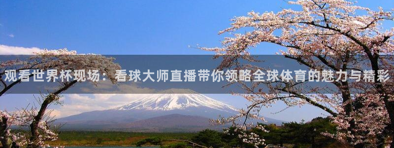 柠檬直播体育nba