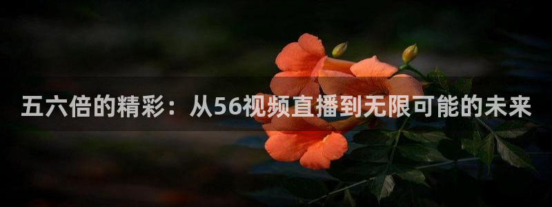 柠檬足球直播在线观看