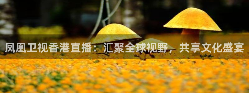 柠檬体育网：凤凰卫视香港直播：汇聚全球视野，共享文化盛宴